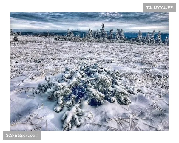 天气预报:纽约、丹佛等地季后赛首战可能遇雨雪天气,场馆已做预案 天气预报:纽约、丹佛等地季后赛首战可能遇雨雪天气,场馆已做预案